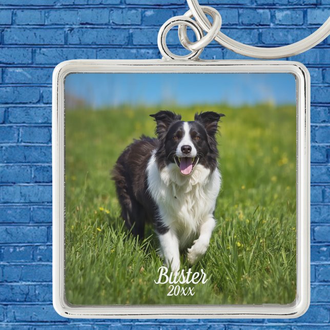 Simple Pet Photo Border Collie Personalise Key Ring (Customize this Keychain , Upload your pets Photo, name and current year, )