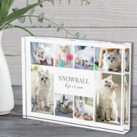 Simple Pet Photo Collage