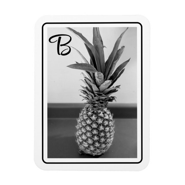 Simple Photo of a Pineapple with Single Initial Magnet (Vertical)