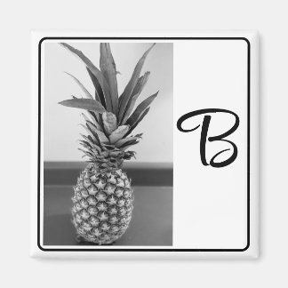 Simple Photo of a Pineapple with Single Initial Magnet