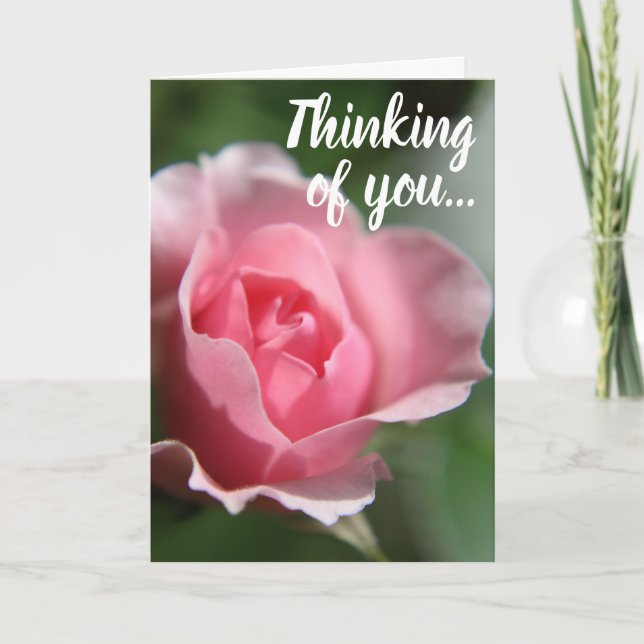 Simple Pink Rose Thinking of You Card (Front)