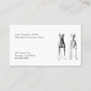 Simple Professional Veterinarian Medical Business Card
