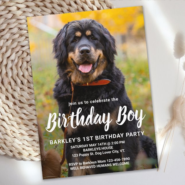 Simple Puppy Dog Birthday Party Custom Pet Photo Invitation (Creator Uploaded)