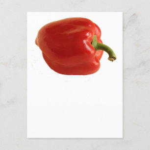 Simple Red Bell Pepper Photo on White Postcard