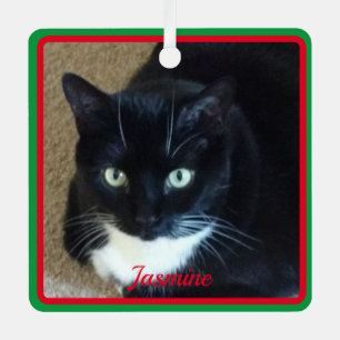 Simple red green border pet photo and name metal tree decoration