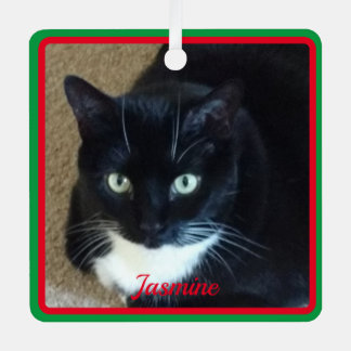 Simple red green border pet photo and name metal tree decoration