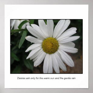 Simple Requests Poster