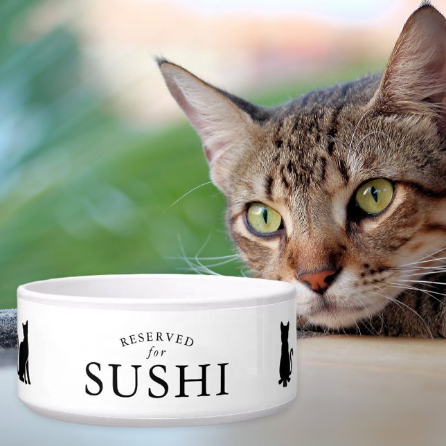 Simple Reserved for Custom Cat (Creator Uploaded)