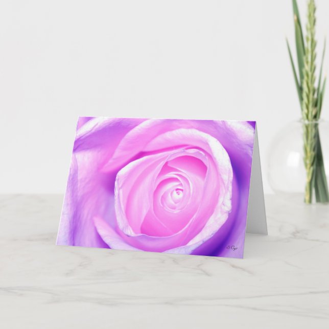 Simple, S Cyr Holiday Card (Front)