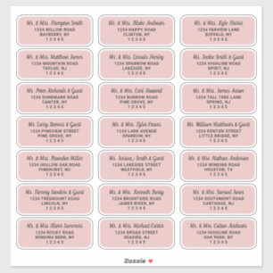 Simple Script Dusty Pink Guest Address Labels