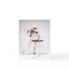 Simple Script Pet Memorial Photo Thank You