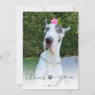 Simple Script Pet Memorial Photo Thank You