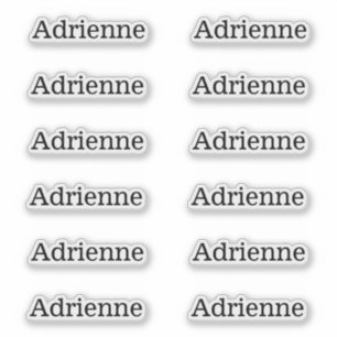 Simple Serif Name Labels Set of 12 Custom Stickers