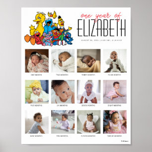 Simple Sesame Street One Year of 12 Months Poster