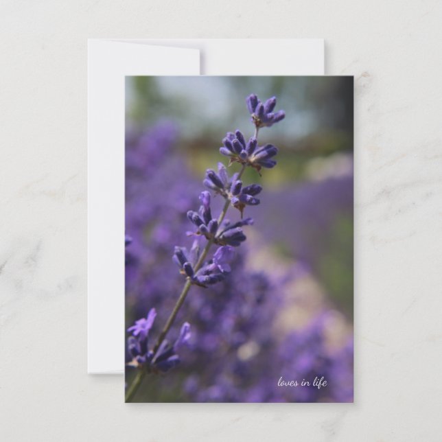 Simple Stem of Lavender Card (Front)
