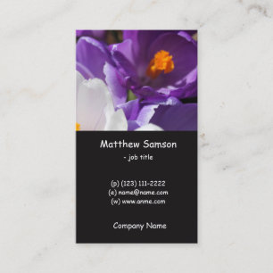 simple style, white and purple crocus flowers business card