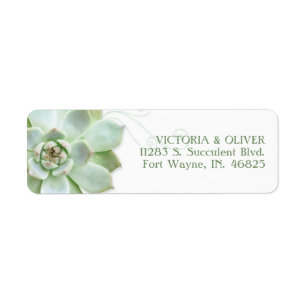 Simple Succulent Cactus Wedding Address