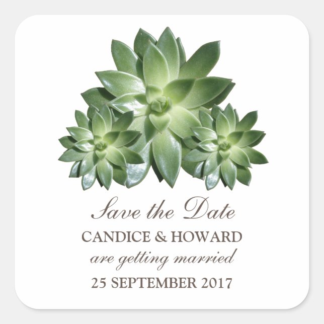 Simple Succulent Save the Date Stickers (Front)