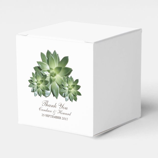 Simple Succulent Wedding Favour Boxes (Front Side)