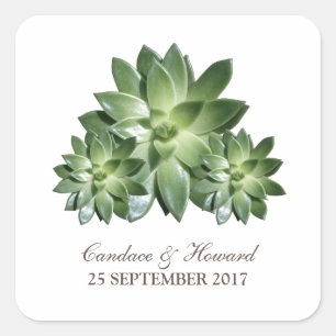 Simple Succulent Wedding Stickers