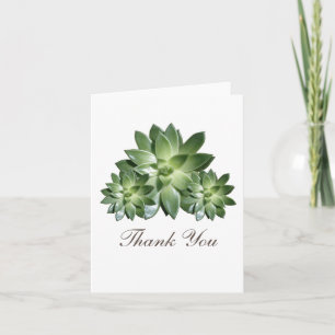 Simple Succulent Wedding Thank You Card
