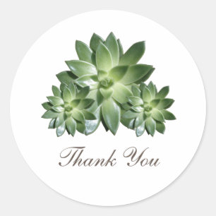 Simple Succulent Wedding Thank You Stickers