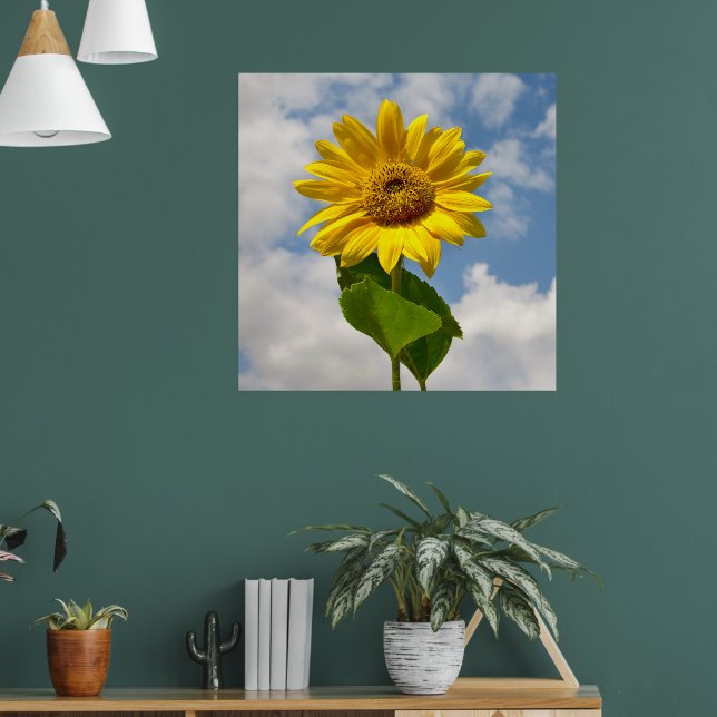 Simple Sunflower Floral Botanical Photography Canv Poster (Living Room 1)