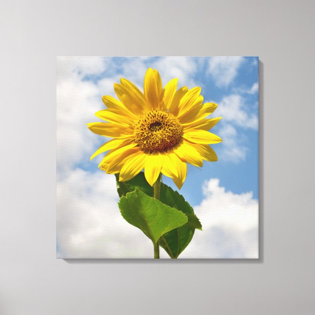 Simple Sunflower Floral Botanical Photography Canvas Print (Front)