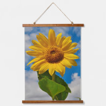 Simple Sunflower Floral Cute Botanical Photography