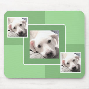 Simple Three Photo Modern Square Design Light Gree Mouse Mat