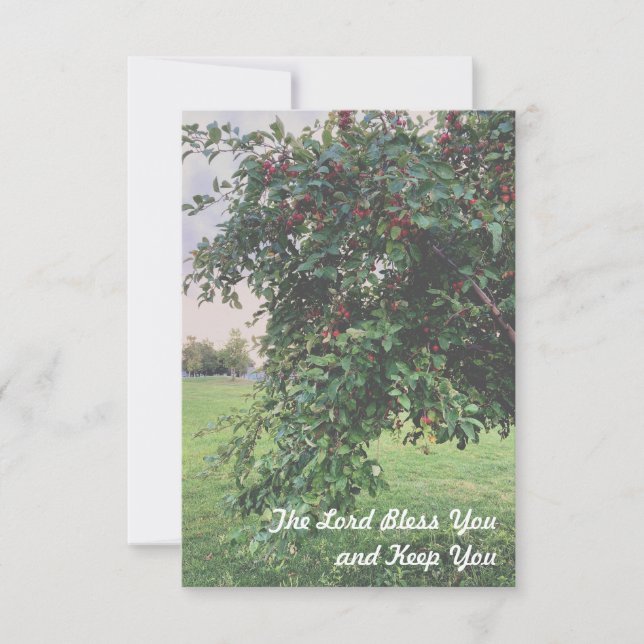 Simple Tree Thank You Cards (Front)
