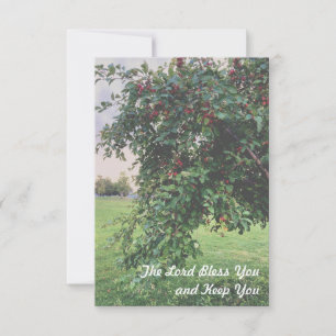 Simple Tree Thank You Cards