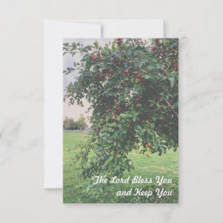 Simple Tree Thank You Cards