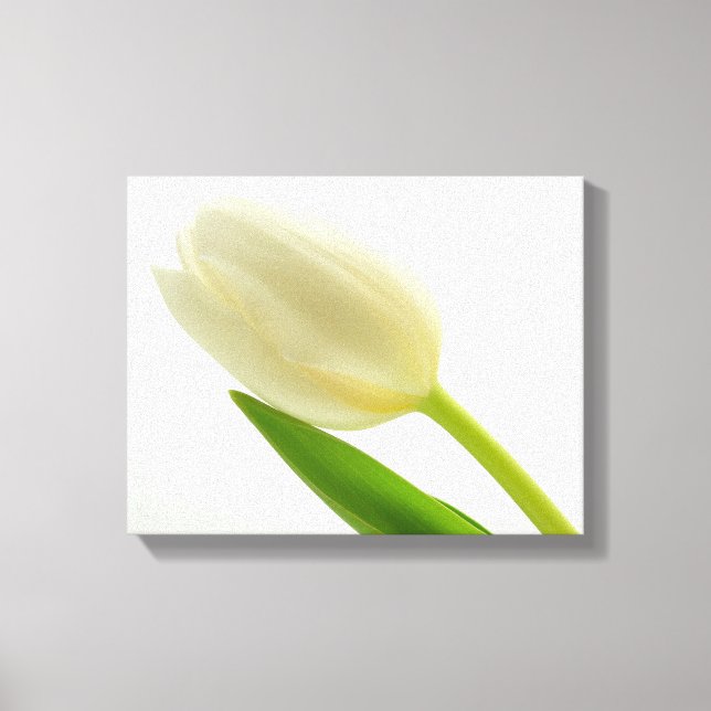 Simple Tulip Canvas Print (Front)