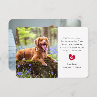 Simple Two Photo Pet Sitter Thank You Card