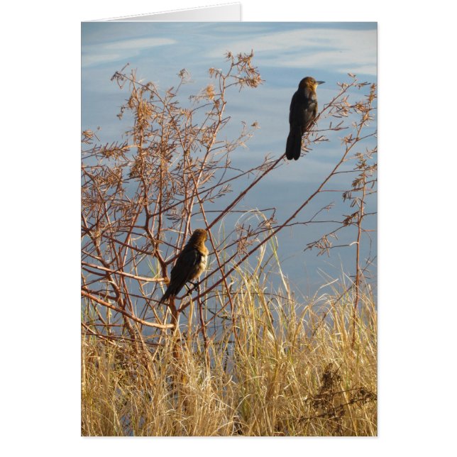 Simple Words of Heart Felt Appreciation (Front)