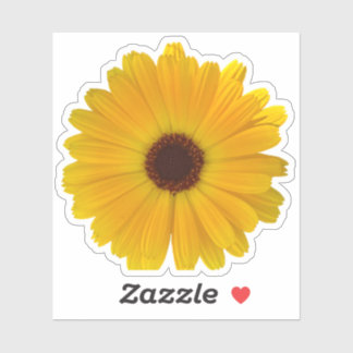 Simple Yellow Daisy
