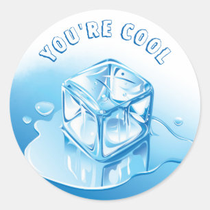 Simple You're Cool Teacher  Classic Round Sticker