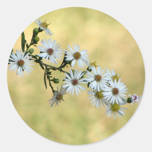 SimpleDelight Stickers (Front)