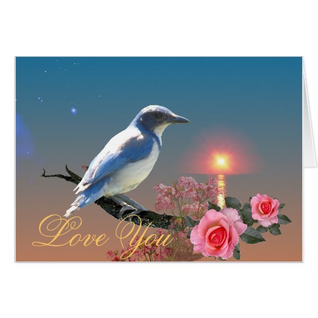 Simplicity (Front Horizontal)