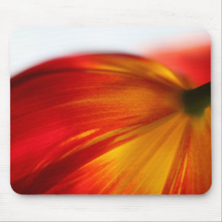 Simplicity Mouse Mat