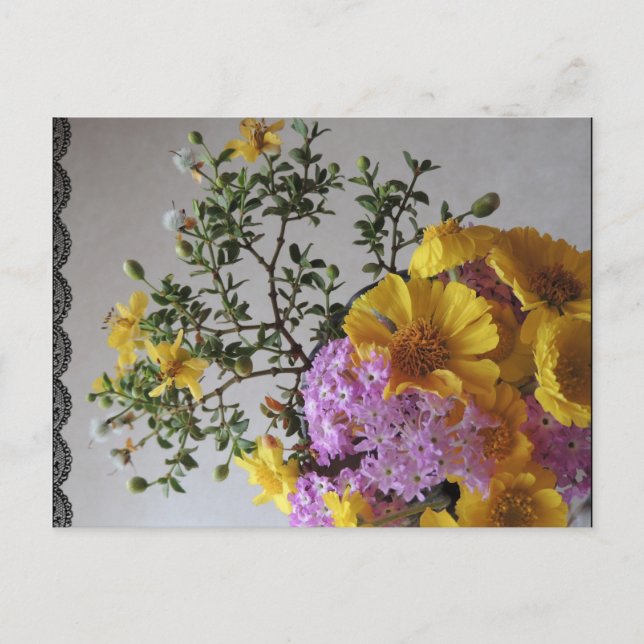 Simplicity Postcard (Front)