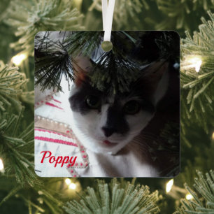 Simplistic Red Pet Photo With Name Metal Tree Decoration