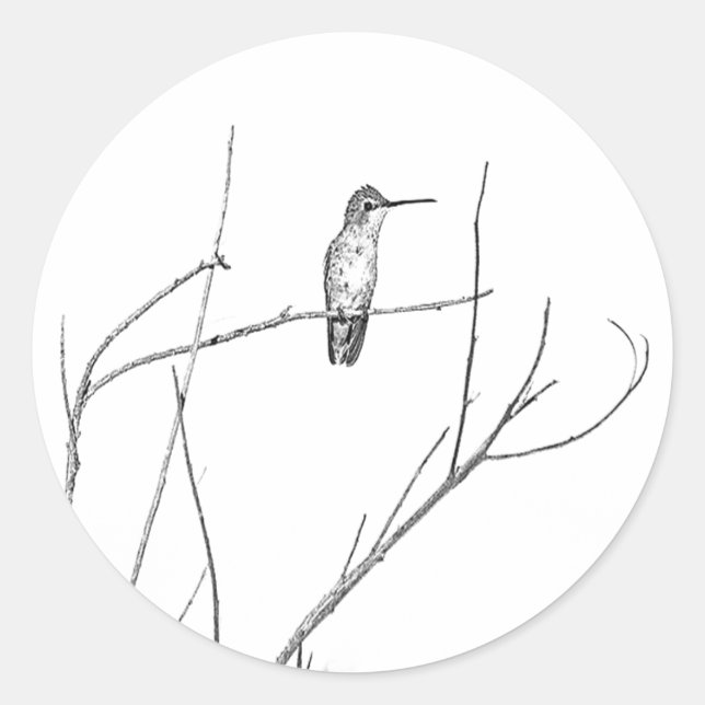 Simply a Hummingbird on a stick Classic Round Sticker (Front)