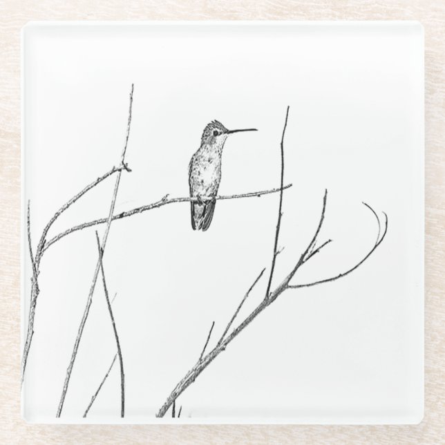 Simply a Hummingbird on a stick Glass Coaster (Front)