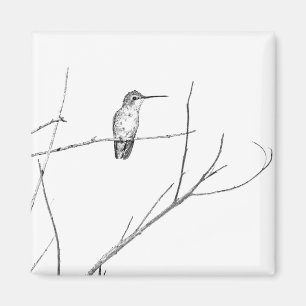 Simply a hummingbird on a stick magnet