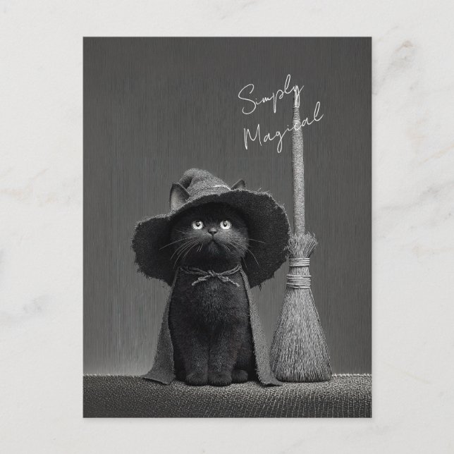 Simply Magical Witch Cat Postcard (Front)