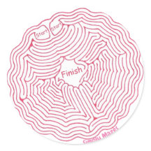 Simply Mazes Spider Web Maze Sticker