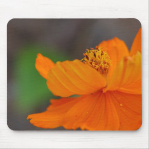 Simply Orange Mousepad
