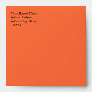 Simply Orange Wedding Invitation Envelope 5.5x5.5